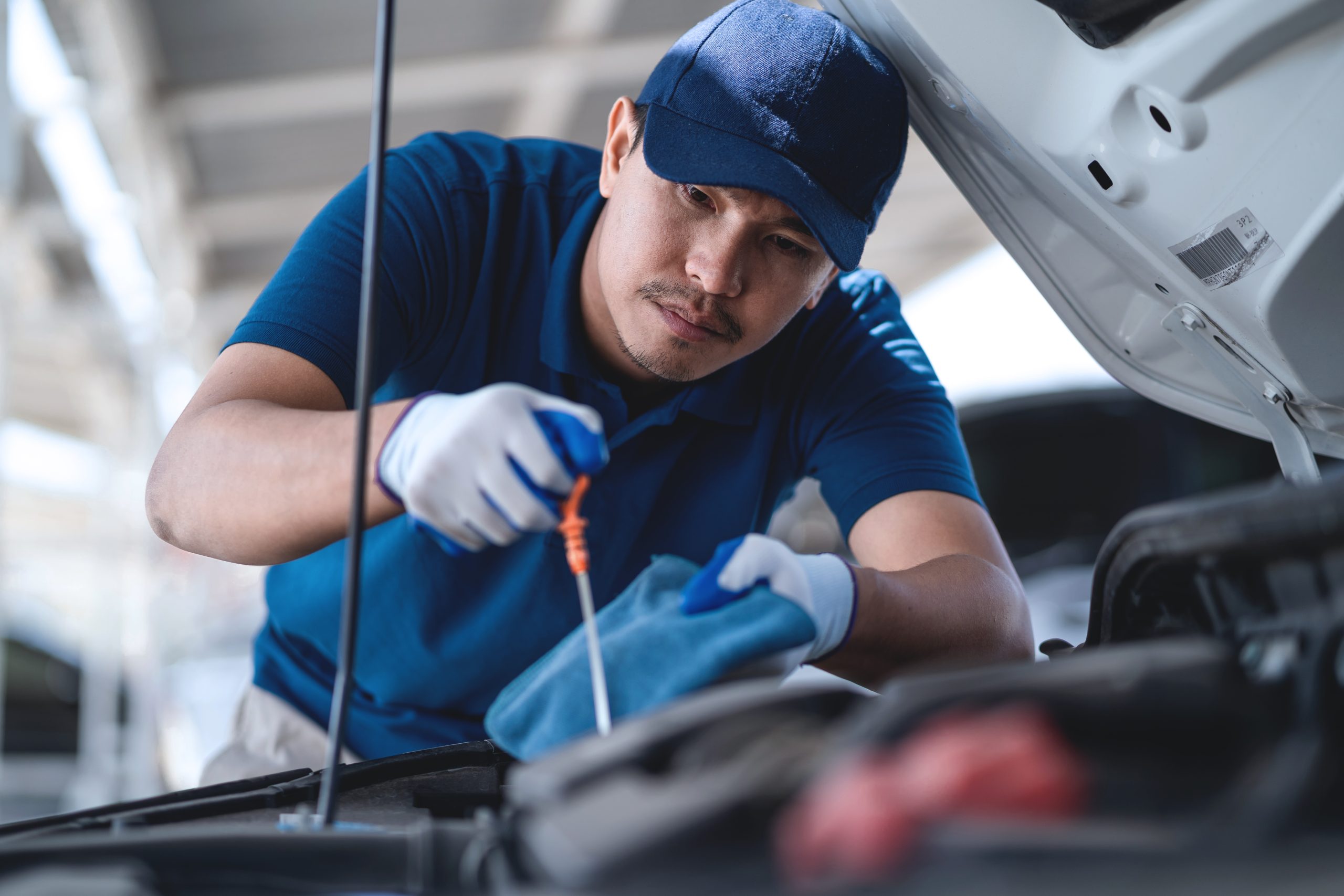 Oil Change & Maintenance